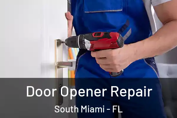  Door Opener Repair South Miami - FL